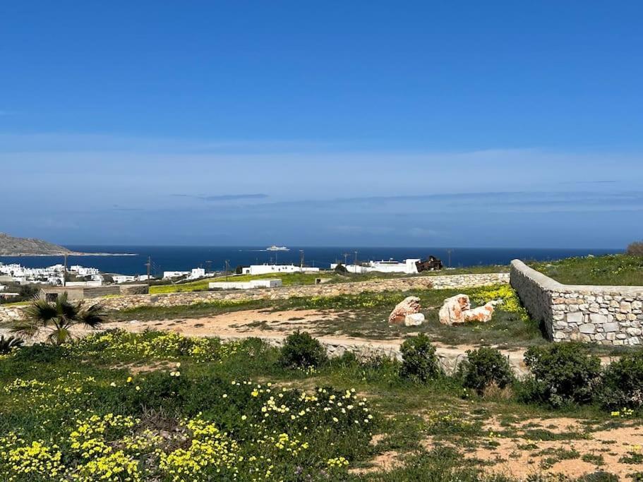 Aretousa Residence In Naoussa, Paros Extérieur photo