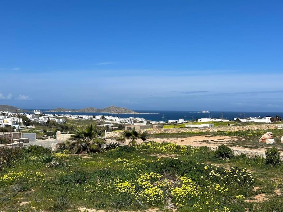 Aretousa Residence In Naoussa, Paros Extérieur photo