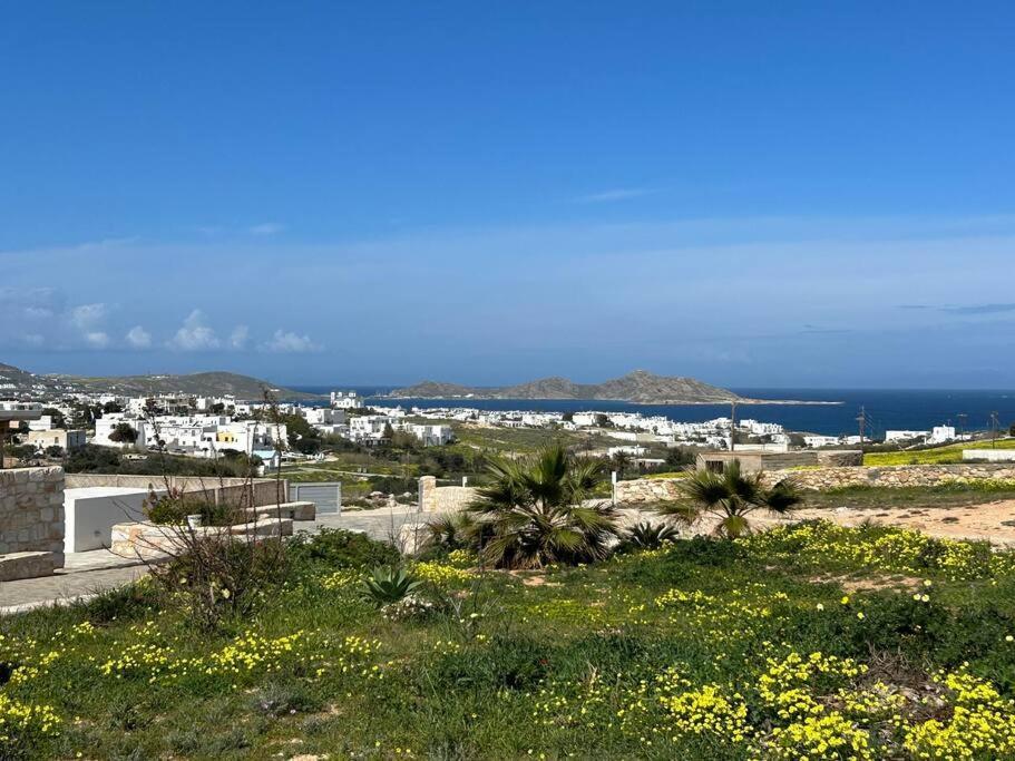 Aretousa Residence In Naoussa, Paros Extérieur photo